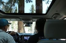 Small Group Sequoia Tour from Wuksachi Lodge with Lunch