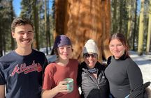 Small Group Sequoia Tour from Wuksachi Lodge with Lunch