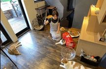 Cat Cafe & Bar Private Tour in Yanaka & Yushima