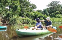 Private Kayaking Experience in Ometepe