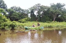 Private Kayaking Experience in Ometepe