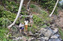 Cultural Tours Of Kalinago Territory of Dominica with Past Chief
