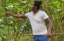 Cultural Tours Of Kalinago Territory of Dominica with Past Chief