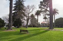 Auckland City Highlights Private Tour