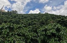 Private tour Nha Trang - Dalat excursion (starting at Nha Trang)