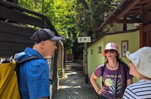 Private Walking Tour: The Little Kyoto of Tokyo, Kagurazaka