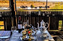Off the Beaten Path: Unique Safaris in Zambezi National Park 