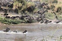 2 days private safari to the Serengeti and Ngorongoro Crater