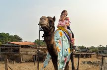 Hill-station & Heritage: Lonavala & Karla Caves Tour from Mumbai