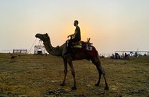 Hill-station & Heritage: Lonavala & Karla Caves Tour from Mumbai