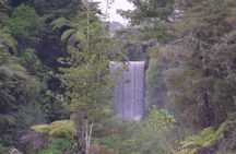 New Zealand Tauranga Tour with Transportation and Snacks