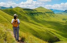 Half Day Safari Hiking to Drakensberg Mountains from Durban