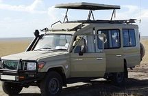 3-Day Masai Mara Safari Tour
