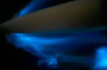 Bioluminescent Bay Chiliboats Waterbike Tour in La Parguera