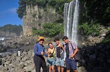 2Days Private tour in jeju island - East/West/South of Jeju