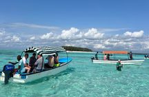 Mnemba island snorkeling tour
