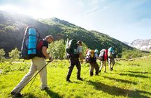 Garden Route 5 Day Hiking & Safari Adventure from Cape Town