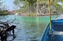 East Side Mangrove Tunnel wildlife encounter private Adventure 