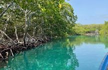 East Side Mangrove Tunnel wildlife encounter private Adventure 