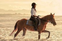 Bali Horse Riding + Waterfall + Rice Terrace + Lunch 