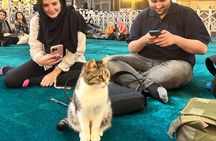 Istanbul City Tour W/ Fast Track Basilica Cistern W/ Small Group 