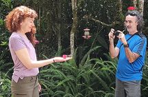 Private Hike through the Waterfalls of the Mindo Cloud Forest