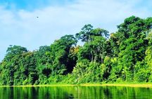Canoe tour along the water trails of Tortuguero Park