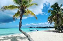 Experience Full Day Tour of Tropical Bliss at Isla Saona