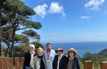 5 hours VIP tour of Tangier 