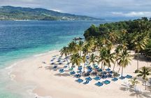 Experience Full Day Tour of Tropical Bliss at Isla Saona