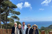 Tangier Private Day Tour from Tarifa or Algeciras