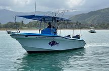Full Day Sportfishing Charter Inshore or Offshore