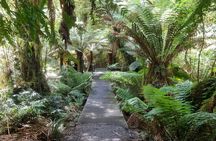 Lux Great Ocean Road Tour Reverse - Max 11 Hotel Pickup