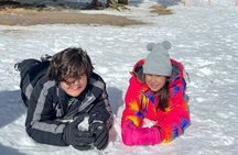 Private Winter Tour + Sledding in Rocky Mountain National Park