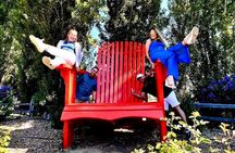 Embark on an Epic Muir Woods and Wine Country Adventure!