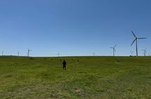 4D3N Huitengxile Grassland Wulanhada volcano Kubuqi Desert Tours