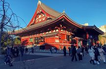 Tokyo Haneda - Layover 5 Hours Private Tour