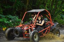 Roatán Shore Excursion: Wildlife+ATV Buggy & Beach(Snack+2 Beers)