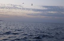 Boat Tour in Polignano a Mare