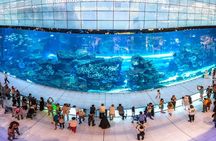 Half Day Dubai Modern Wonders Tour