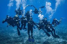 Fun dives Catalina Islands for Certified Divers