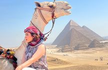 All Giza activists 