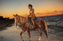 Sunset Group Horseback Ride: Blue Hills Beach & Ocean