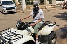 All Giza activists 