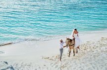Spectacular Private Beach & Ocean Ride in Providenciales