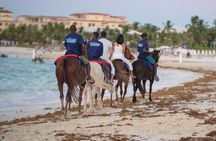 Spectacular Private Beach & Ocean Ride in Providenciales