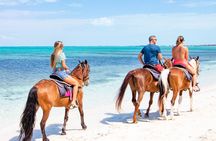Spectacular Private Beach & Ocean Ride in Providenciales