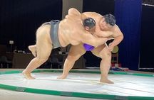 Osaka: Sumo Show and Kimono Haori Experience without food