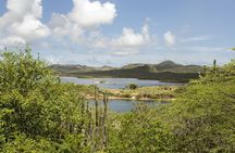 4 hour Individual Island Tour for 1 to 12 persons