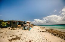 4 hour Individual Island Tour for 1 to 12 persons